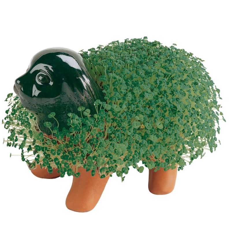 Chia Pet Puppy with Seed Pack, Decorative Pottery Planter, Easy to Do and Fun to Grow, Novelty Gift, Perfect for Any Occasion - Image 3